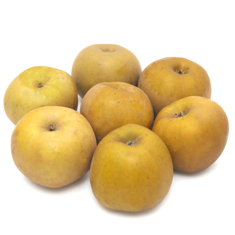 Manzana reineta parda calibre 85/95 mm kilo